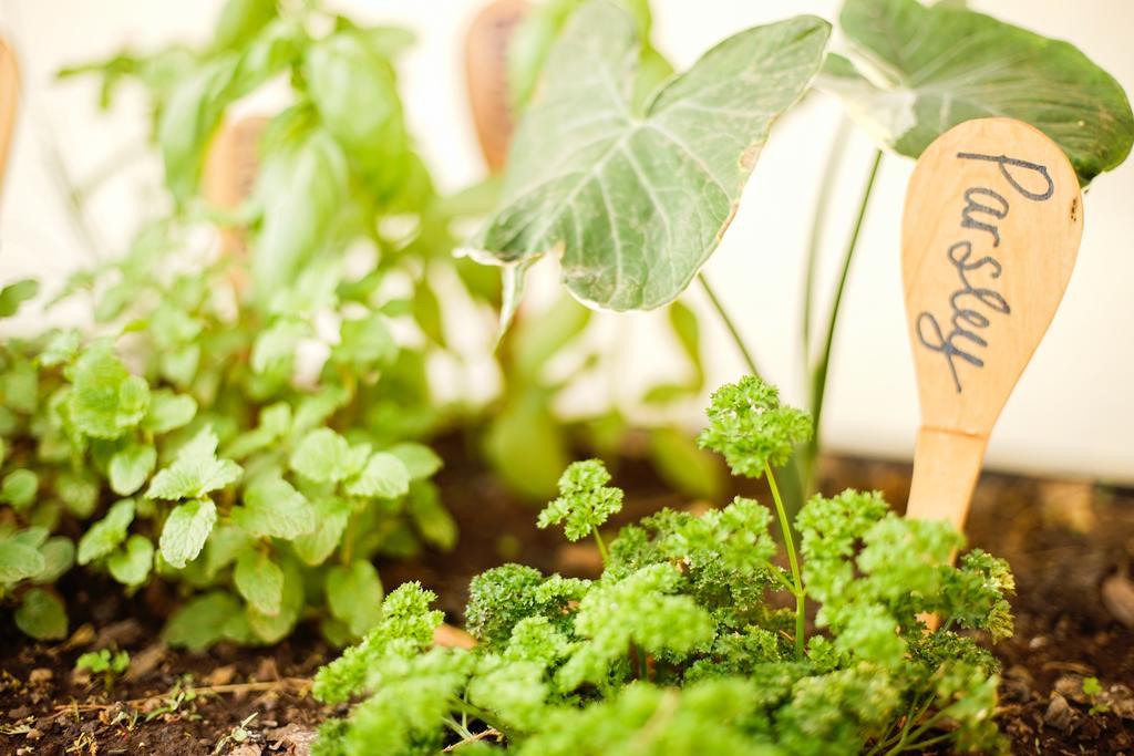 The Secret Garden Hotel Moshi Ngoại thất bức ảnh